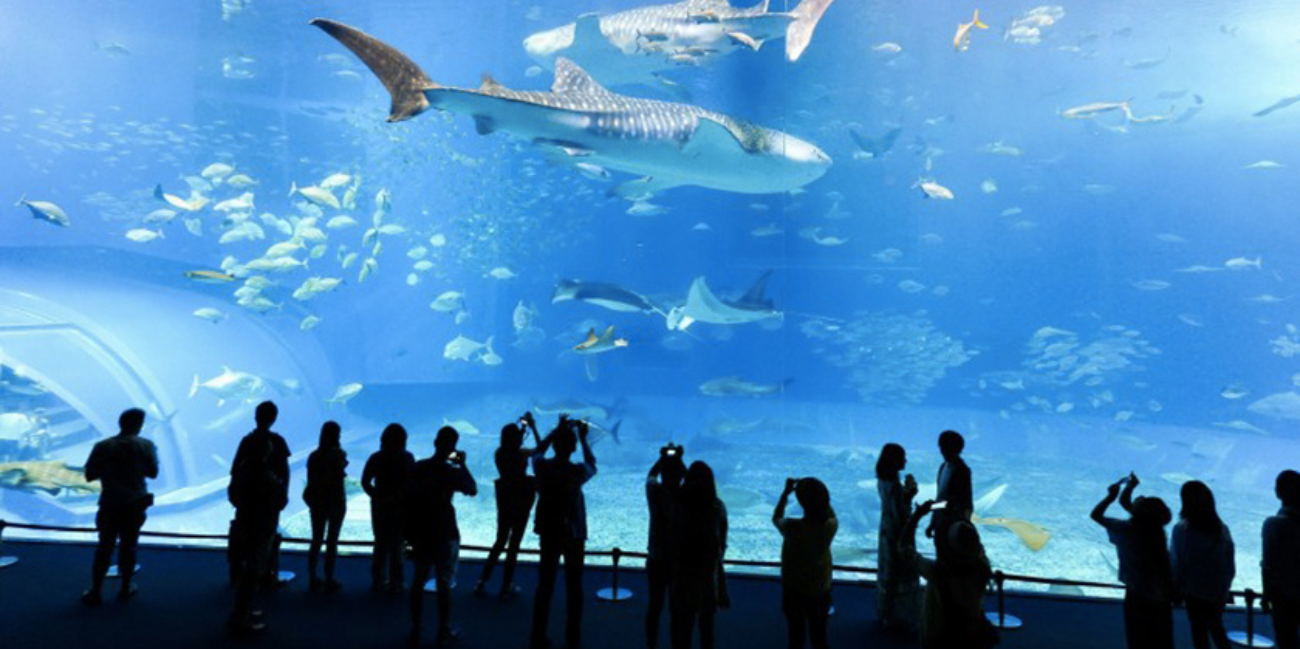 Un été à l'Aquarium de Lyon !