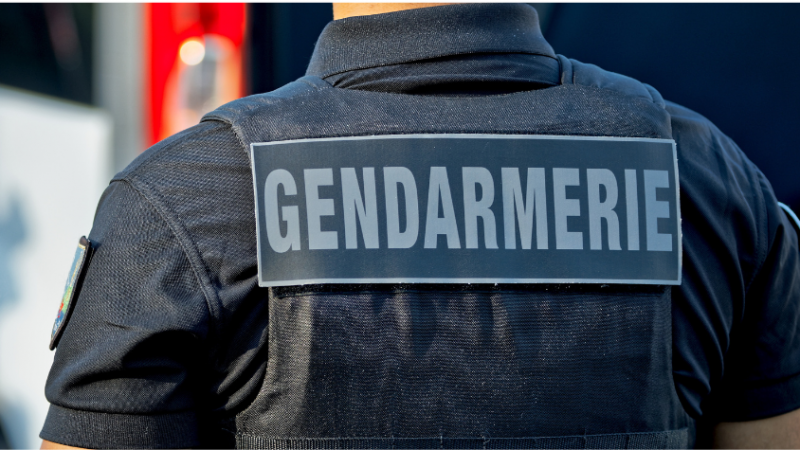 Nord de Lyon : poursuivi par les gendarmes sur l'A6, il force un péage avant de se faire attraper