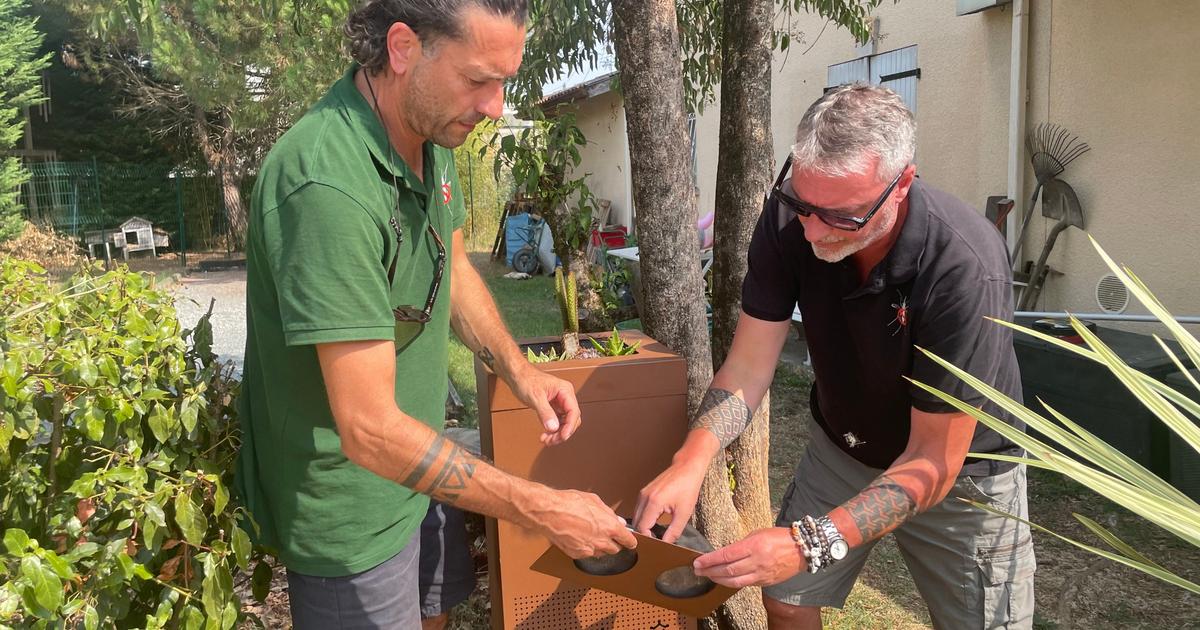 Conçus près de Bordeaux, ces pièges à moustique deviendront-ils la solution contre l’invasion ?