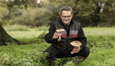« L’Amour est dans le pré, que sont-ils devenus ? » : Gillou et Ludo amoureux, Bruno séparé, Stéphane bientôt marié