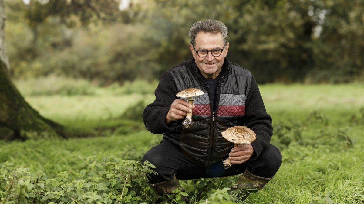 « L’Amour est dans le pré, que sont-ils devenus ? » : Gillou et Ludo amoureux, Bruno séparé, Stéphane bientôt marié