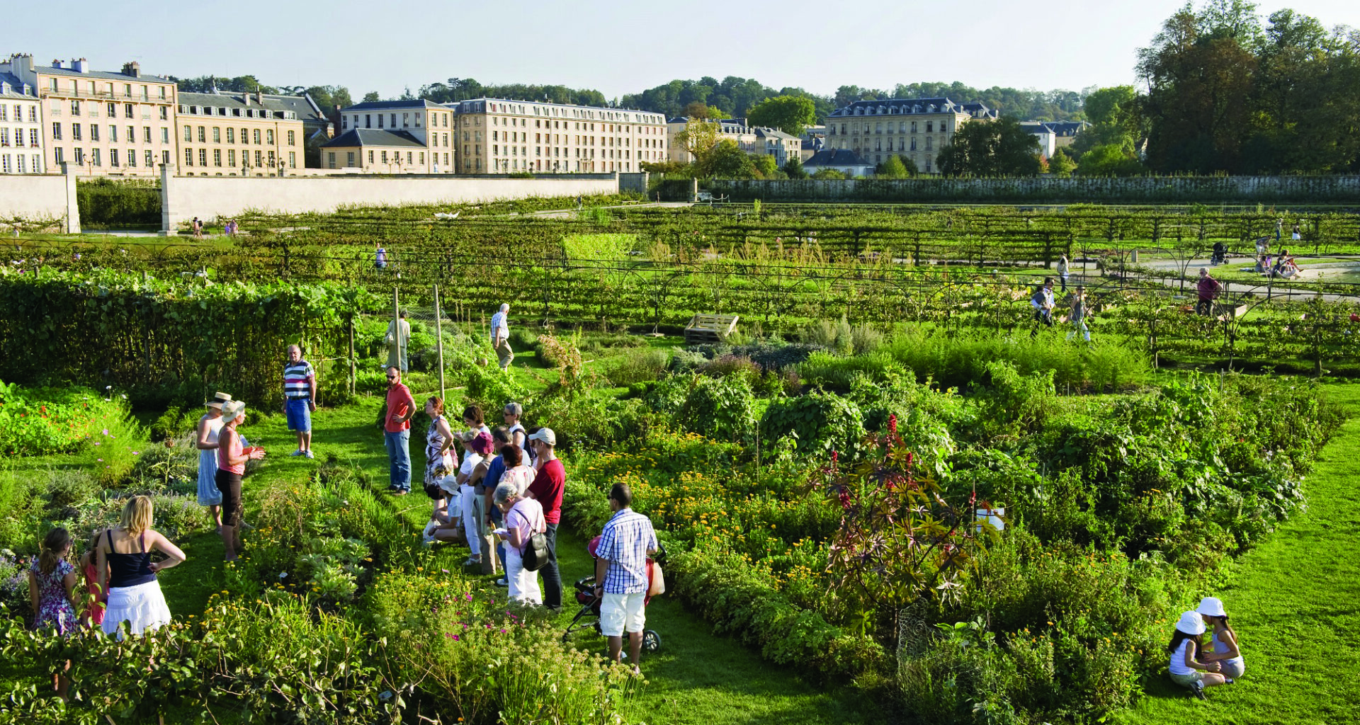 Jardins ouverts 2025 : le programme du 18 au 24 août