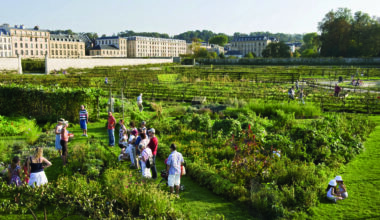 Jardins ouverts 2025 : le programme du 18 au 24 août