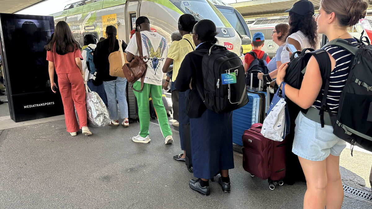 « Il va falloir s’y habituer » : ces trains supprimés en raison de la chaleur… et d’un parc vieillissant