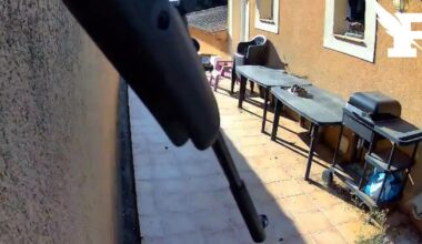 près de Marseille, un chasseur suspecté d’avoir tiré sur le chat et le chien de sa voisine