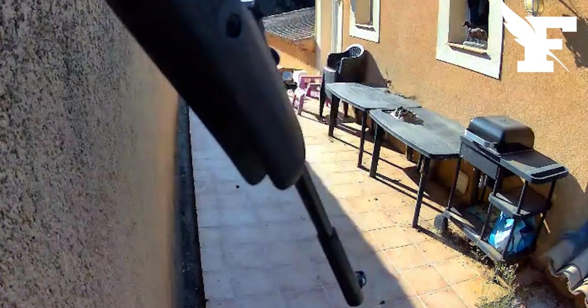 près de Marseille, un chasseur suspecté d’avoir tiré sur le chat et le chien de sa voisine