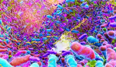 Uni de Genève: Enfin une méthode simple pour détecter le cancer colorectal