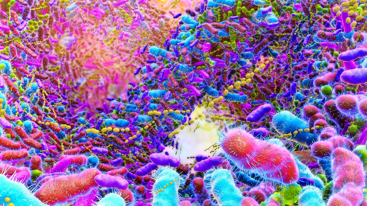 Uni de Genève: Enfin une méthode simple pour détecter le cancer colorectal