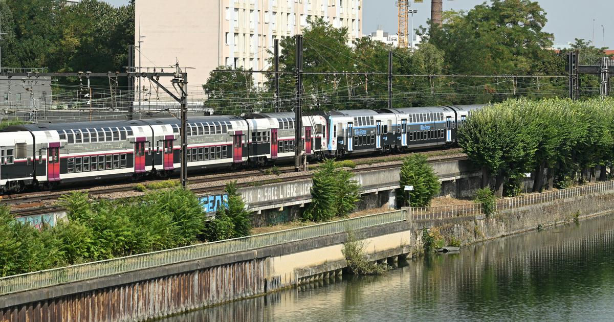 un homme en garde à vue pour «meurtres»
