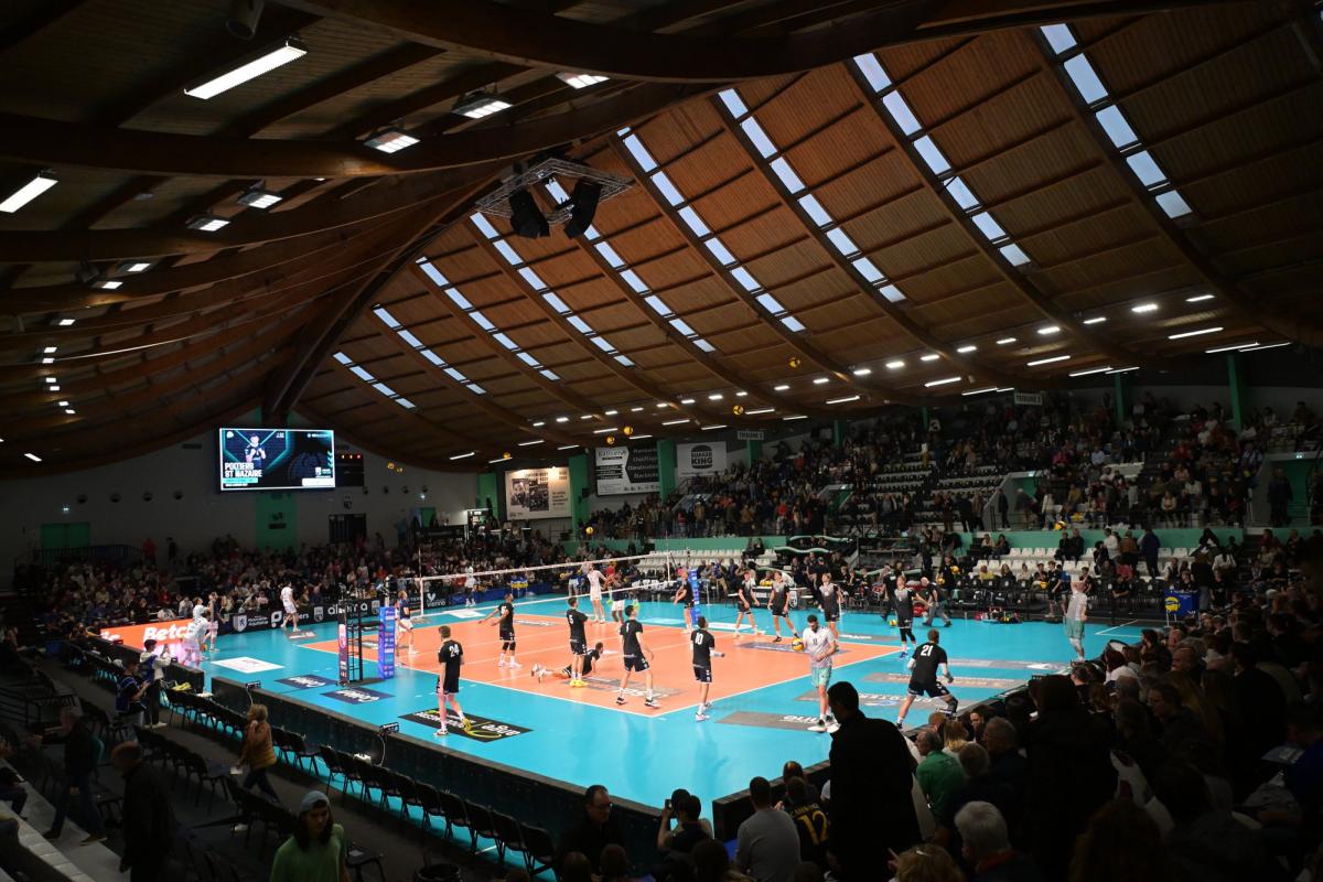 Poitiers annonce l'arrivée du réceptionneur-attaquant iranien Armin Afshin Far pour une saison