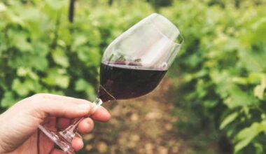 Voici 3 belles bouteilles de vin rouge de Bordeaux à moins de 8 euros à mettre d’urgence dans votre cave