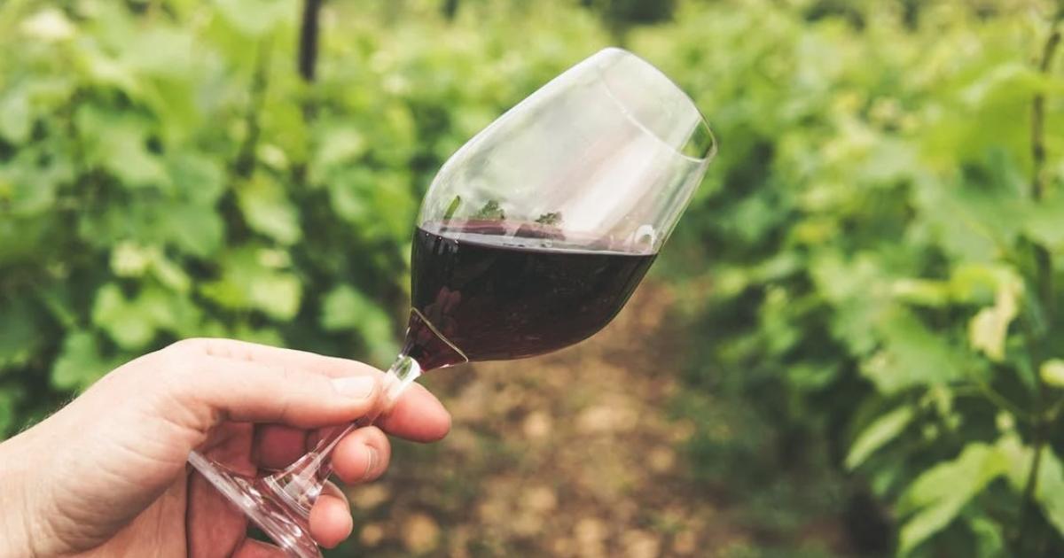 Voici 3 belles bouteilles de vin rouge de Bordeaux à moins de 8 euros à mettre d’urgence dans votre cave