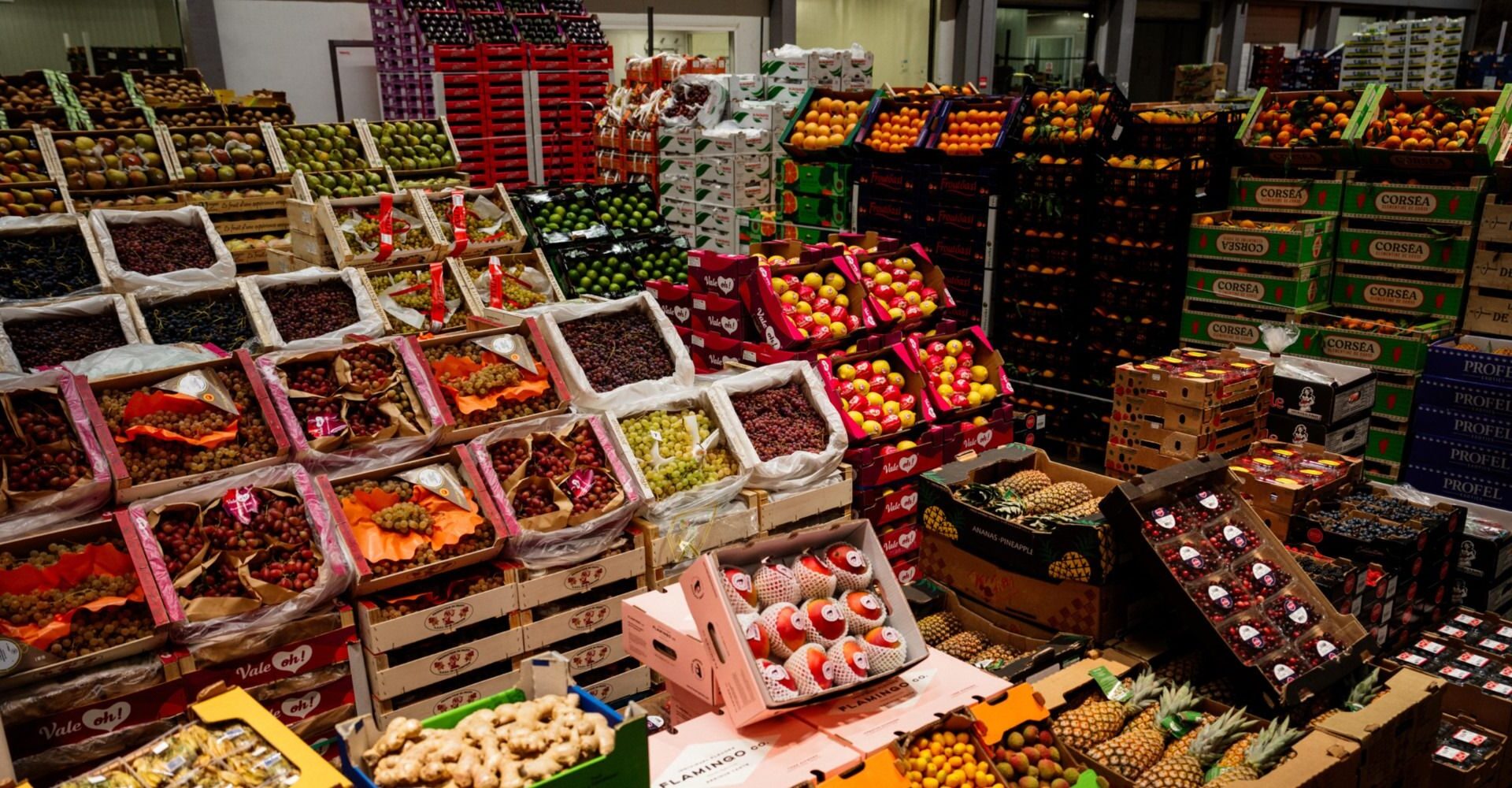 Fruits et légumes: Le Maroc premier fournisseur de l’Espagne en dehors de l’Union européenne