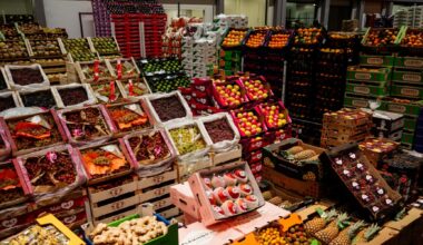 Fruits et légumes: Le Maroc premier fournisseur de l’Espagne en dehors de l’Union européenne