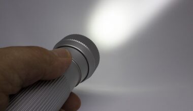 Des faisceaux de lampe torche ont confirmé aux policiers la présence de cambrioleurs dans la demeure - Illustration