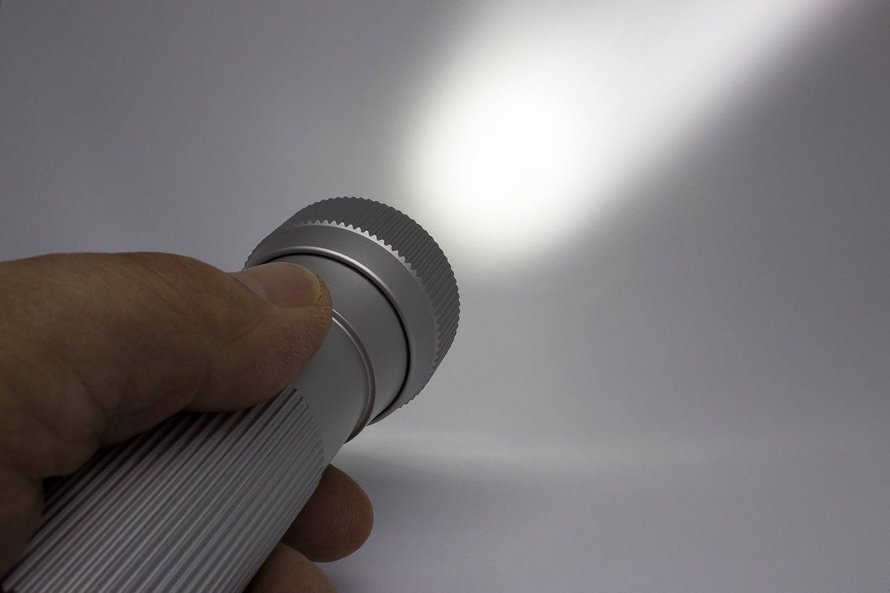 Des faisceaux de lampe torche ont confirmé aux policiers la présence de cambrioleurs dans la demeure - Illustration