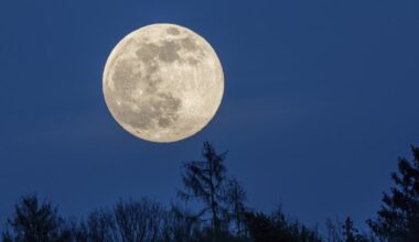 celle-ci sera bénéfique pour ces 5 signes astrologiques