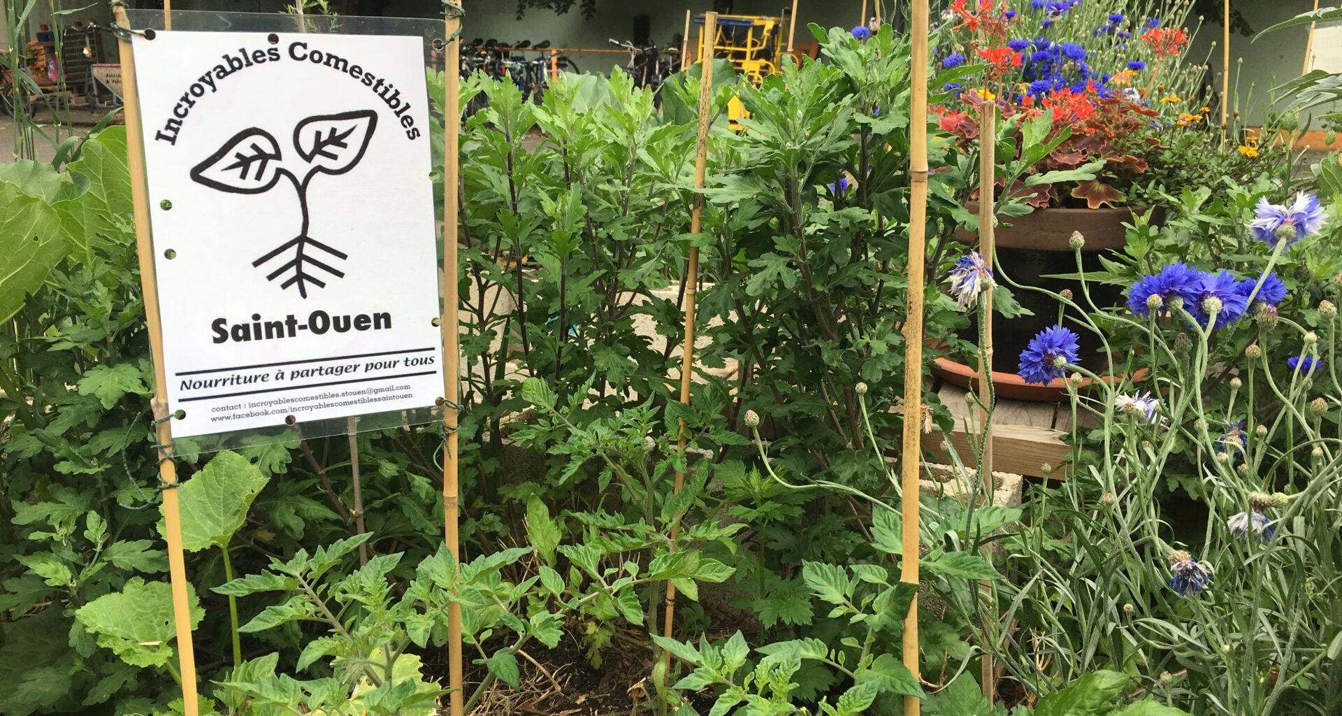 Inscrivez votre jardin à la 9e édition de Jardins ouverts en Île-de-France