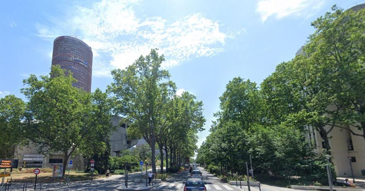 un paysagiste se filme en train de tailler les espaces verts de la ville et s’attire les foudres des élus écologistes