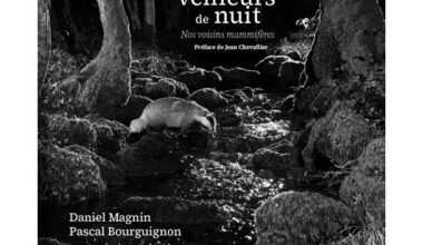 NATURE : « Veilleurs de nuit », un très beau livre à paraitre