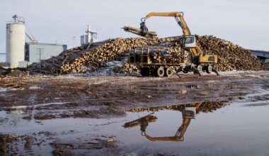 Les États-Unis décident finalement d’augmenter les droits de douane sur le bois d’œuvre