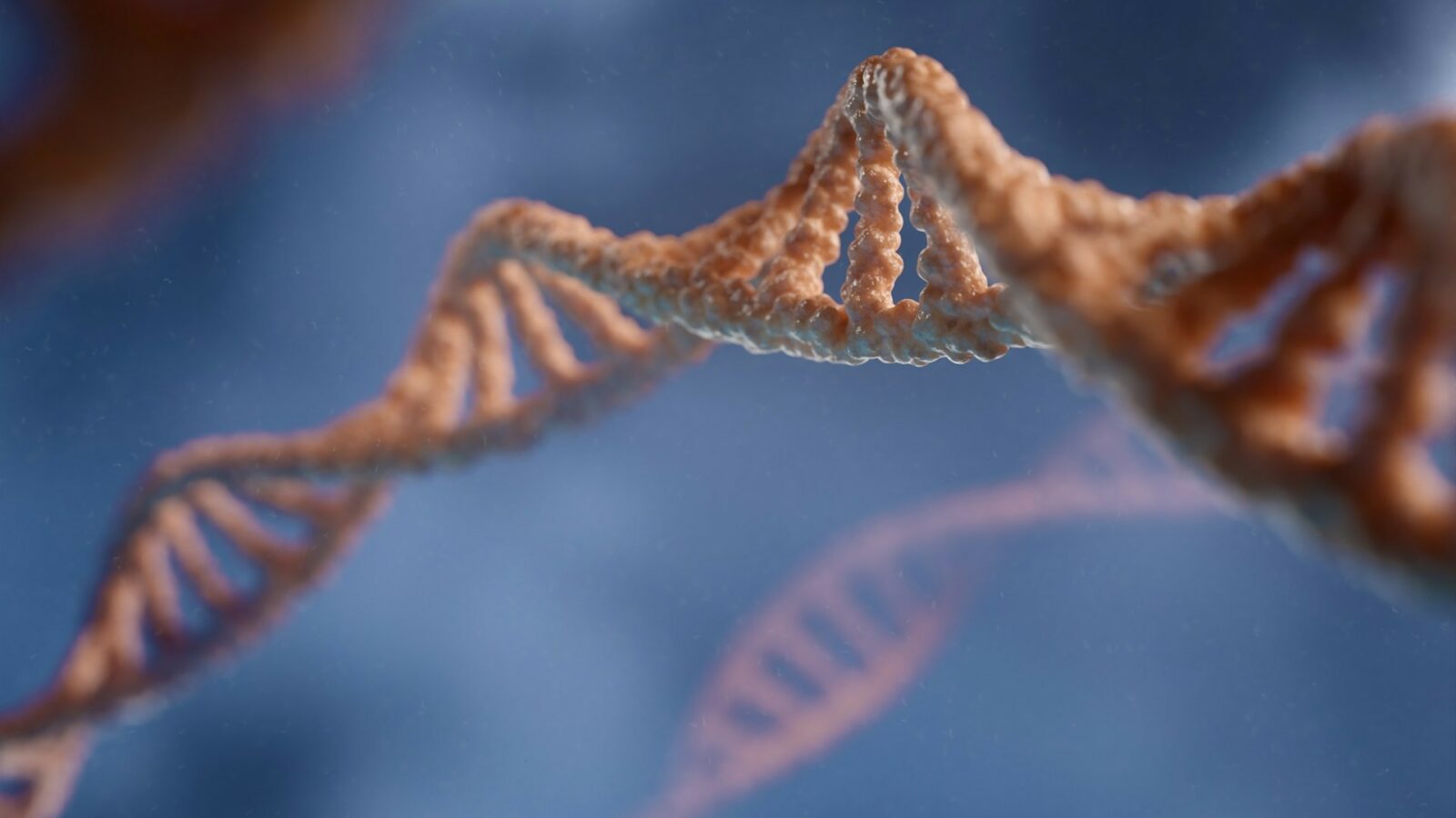Ces scientifiques ont créé le premier organisme vivant avec un ADN entièrement modifié