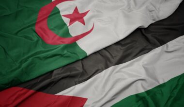 à l’ONU, l’Algérie confronte Israël avec des photos chocs