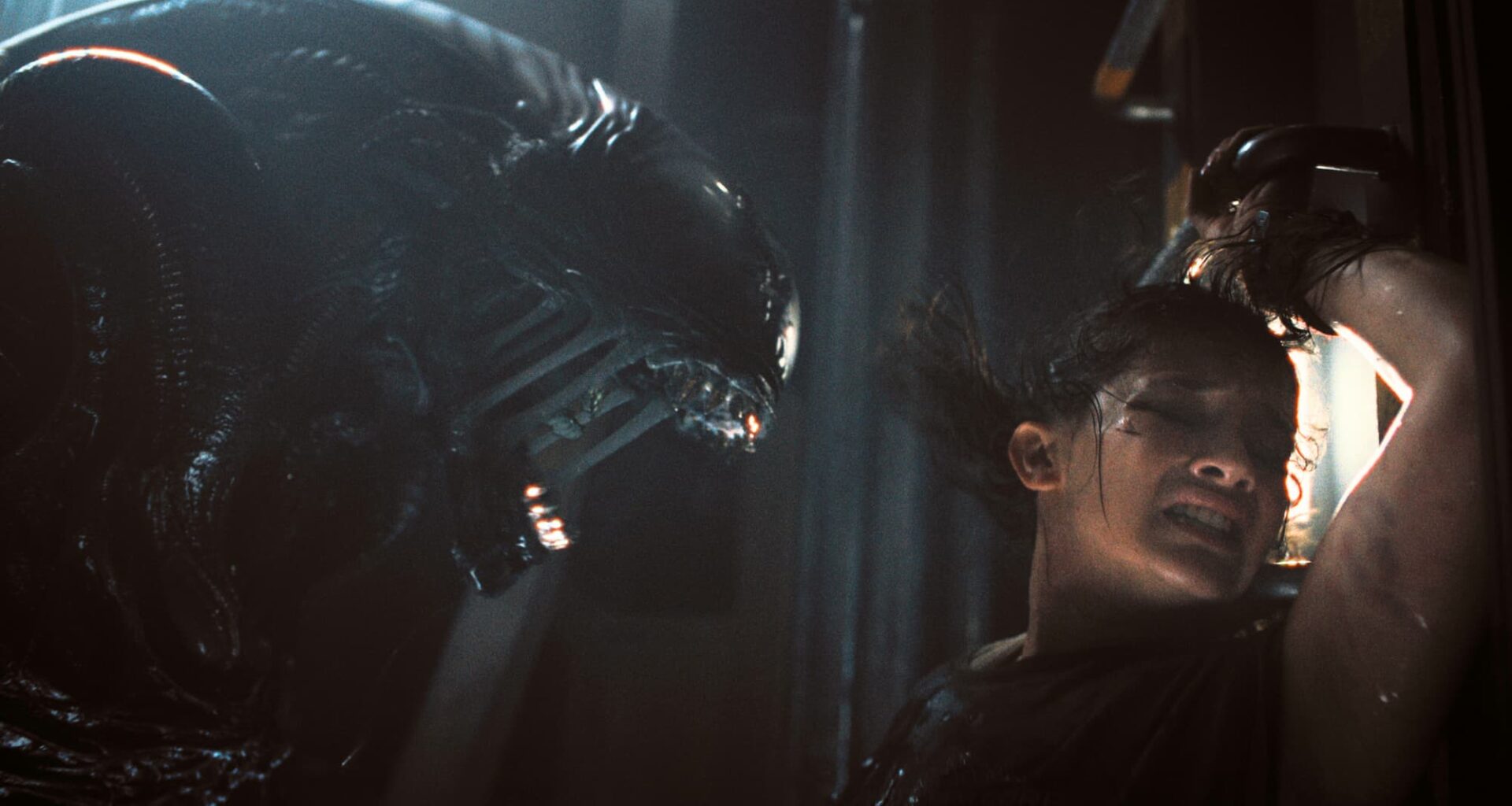 À partir de quel âge regarder la saga Alien ?
