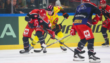 CHL. Un Grenoble combatif, mais défait sur la J1