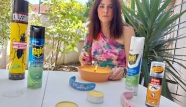 « Je suis plus piquée ici que dans le Marais poitevin ! » : à Saint-Maur, ils n’en peuvent plus des moustiques