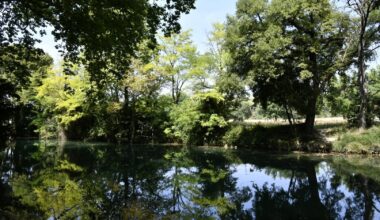 Mécénat : collecte de dons pour restaurer les berges du Lez