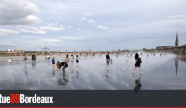 Face à la canicule, des initiatives bien fraîches à Bordeaux