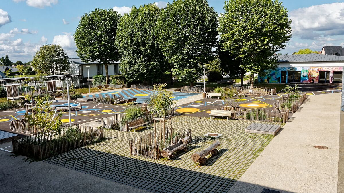 « La cour est plus apaisée » : le collège végétalisé de Bonsecours, près de Rouen, va faire des petits