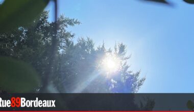 Canicule : en vigilance rouge, Bordeaux et la Gironde s'apprêtent à suffoquer