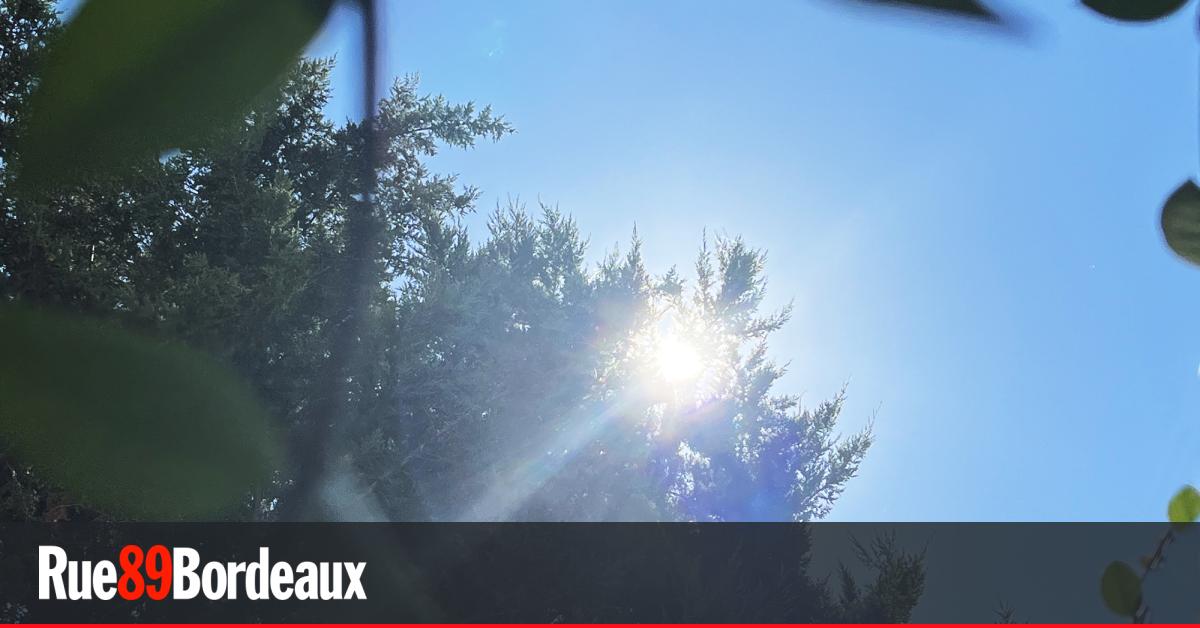 Canicule : en vigilance rouge, Bordeaux et la Gironde s'apprêtent à suffoquer