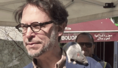 Paris : Rat sur l’épaule, un élu choque les Parisiens en voulant "réconcilier" habitant et "surmulot"