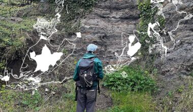 Crassiers mais aussi cités et jardins ouvriers : ce sentier inédit qui trace le charbon