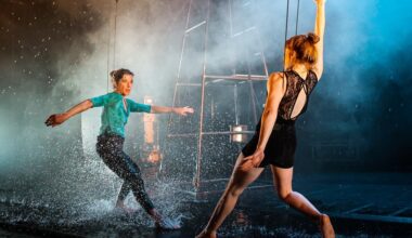 Cirque - Révolte ou tentatives de l'échec