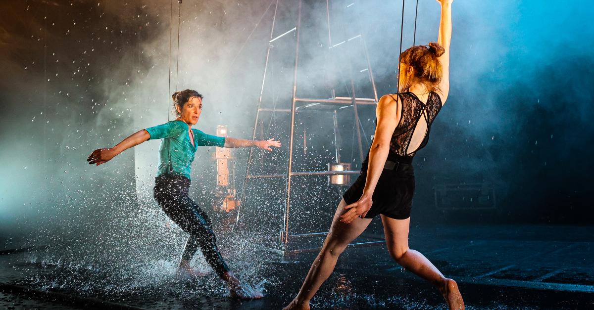 Cirque - Révolte ou tentatives de l'échec