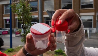 « On se dit que ça va proliférer partout » : au CHU de Lille, les cafards sèment la discorde