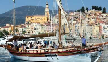 À la découverte des cétacés du sanctuaire "Pelagos"