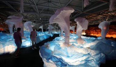 Un incident technique force l’exposition "L’Océan de Léa" à fermer ses portes jusqu’à ce lundi 18 août au port de Nice