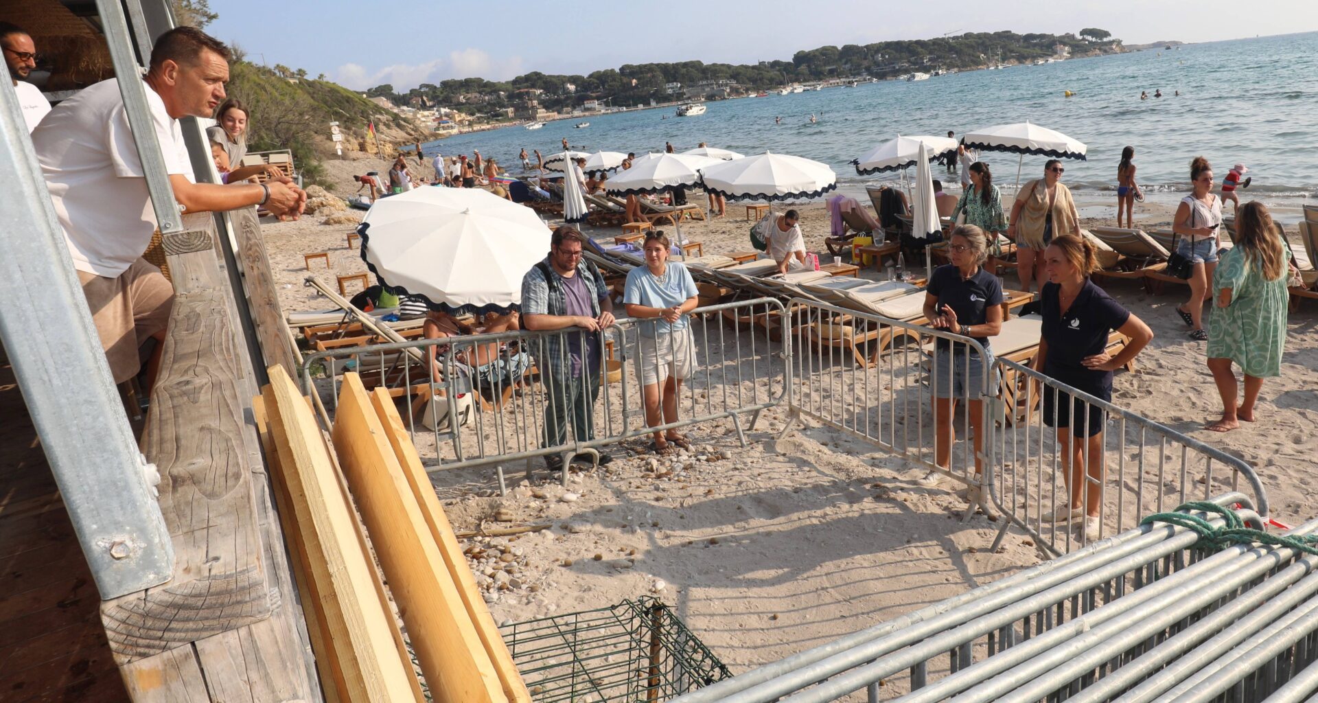 La naissance espérée et imminente de bébés tortues sur une plage de Sanary