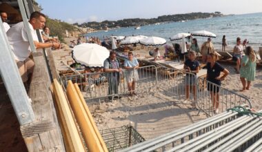 La naissance espérée et imminente de bébés tortues sur une plage de Sanary