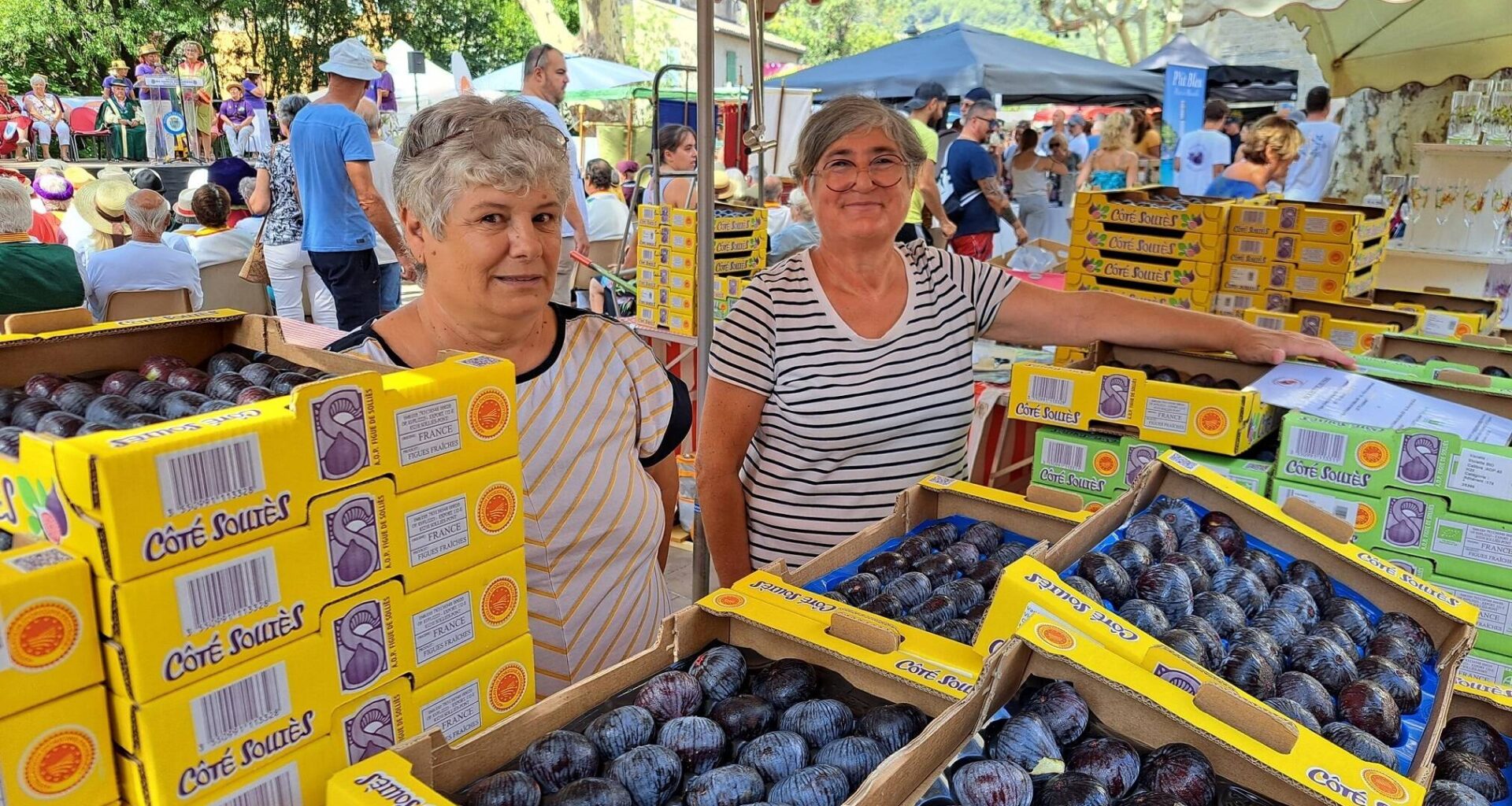 Fête de la figue: Solliès-Pont se prépare à célébrer la reine "violette"