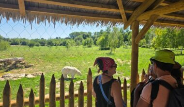 « Les seuls ours polaires visibles en Île-de-France » : le Lumigny Safari Reserve crée une zone Grand Nord