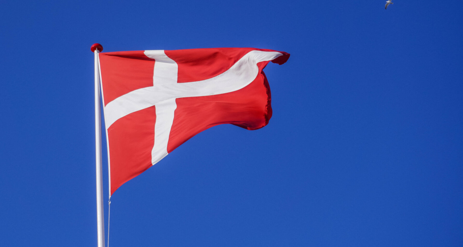 Le Danemark vers une suppression de la TVA sur le livre « pour encourager la lecture »