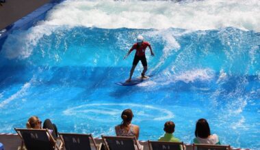 Vivement critiqué par les opposants, le surfpark de Canéjan trouve un surprenant allié pour défendre le projet