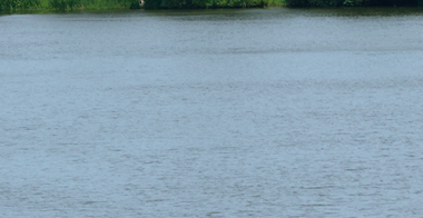 Les bacs de la Loire changent d'horaires