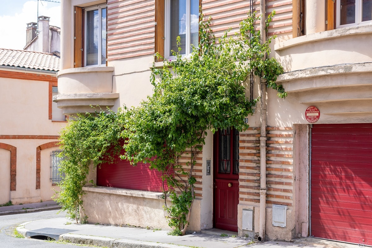Des Fleurs sur mon mur rue Micoud